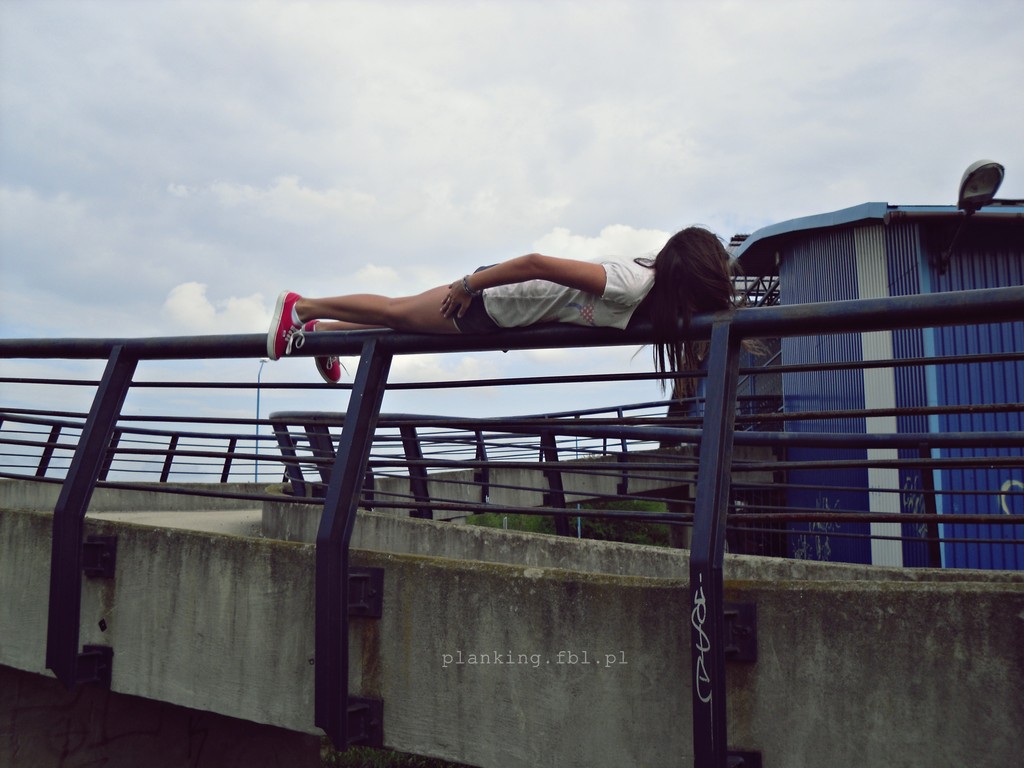 8. Plank