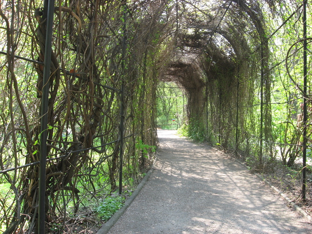 tunel :D