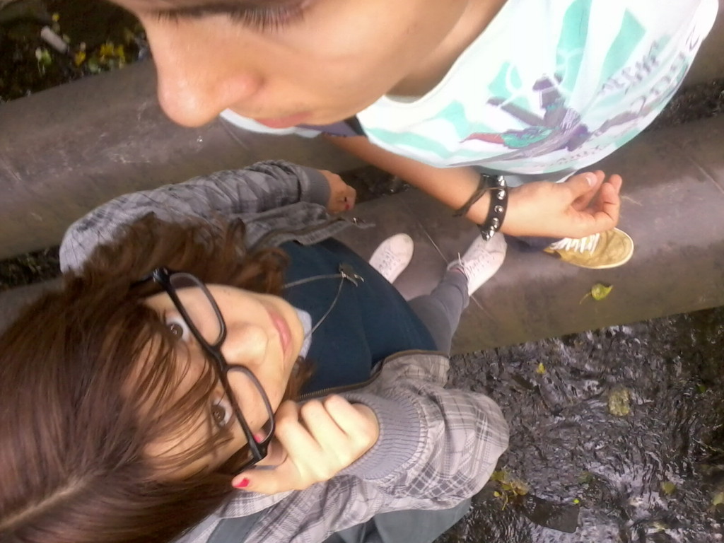 Brak :O