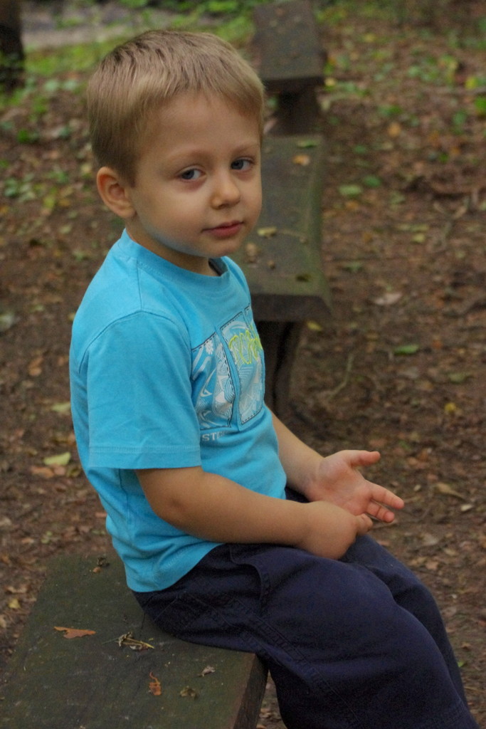 Dominik