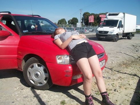 Zamo 2011