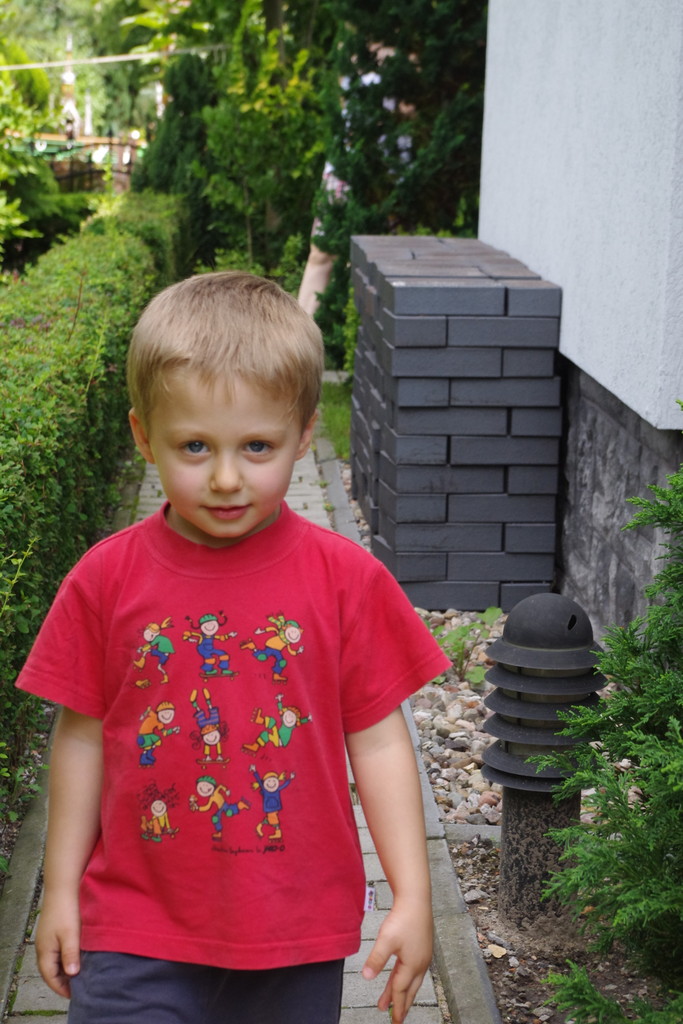 Dominik