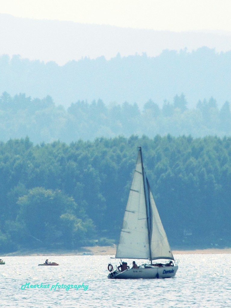 Solina