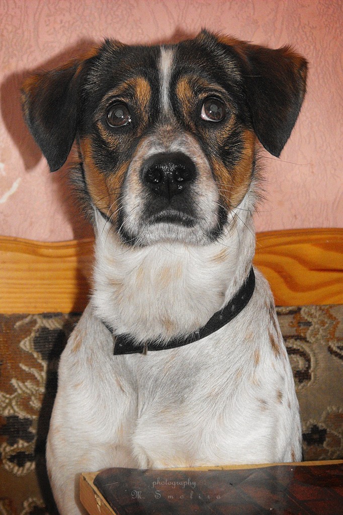 Brando :)