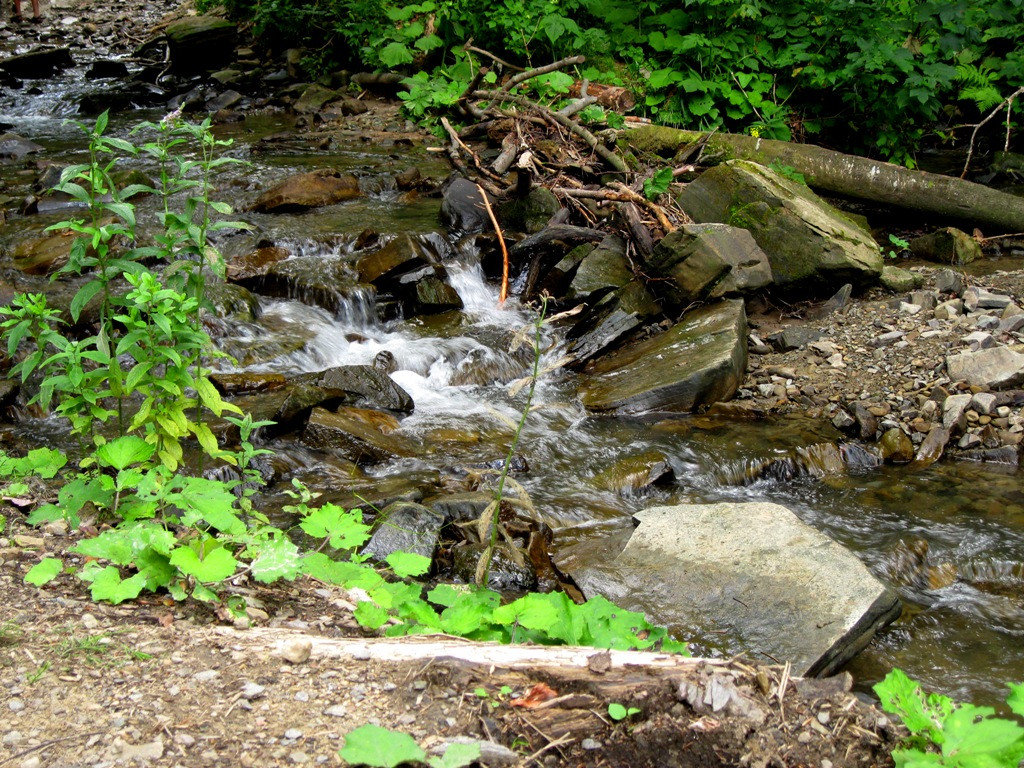 Bieszczady