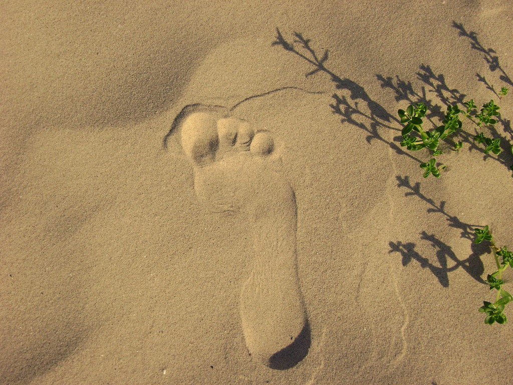 ostatnie tchnienia wakacji.