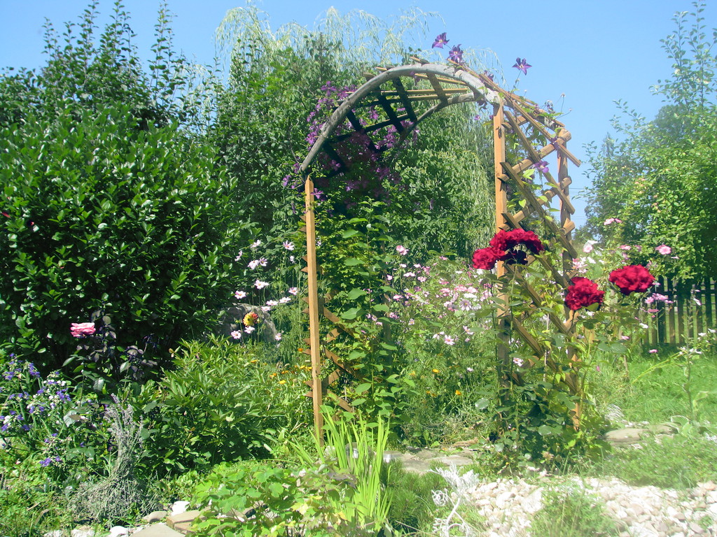 I love my garden :)
