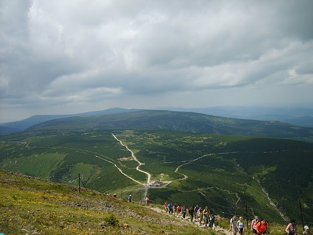nieka