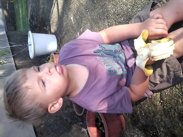 bananowy boy :-X