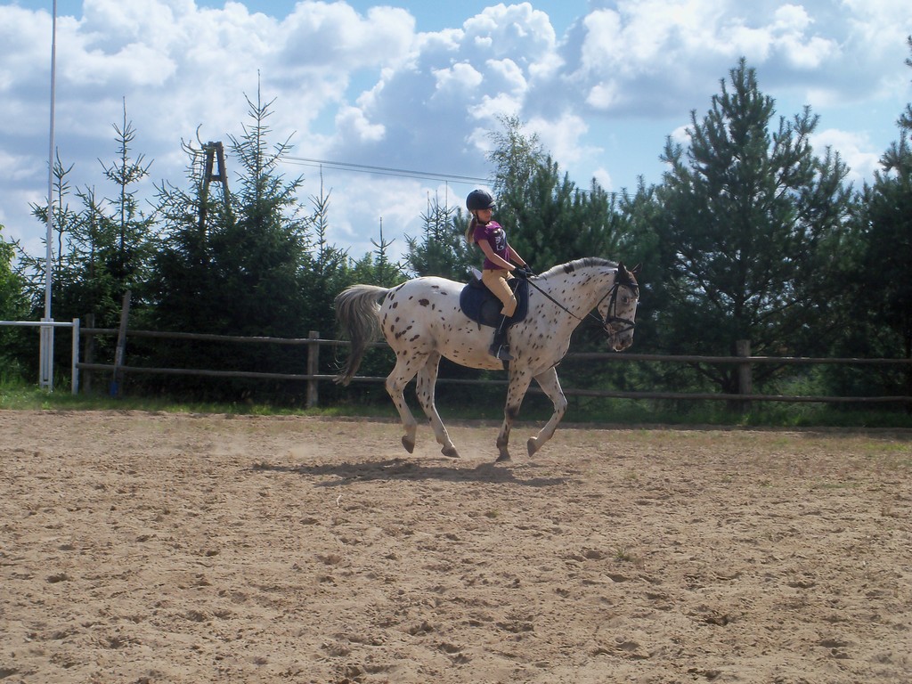 Egipt ;**