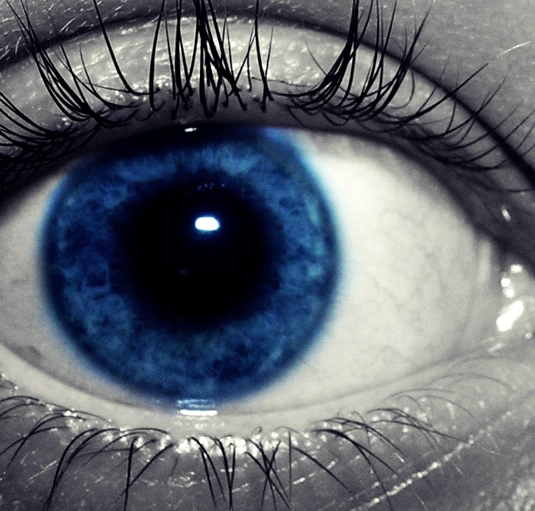 eye.