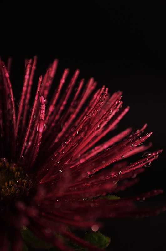 ASTER1