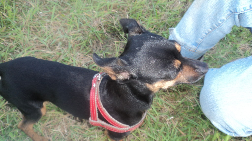 Roki ;D