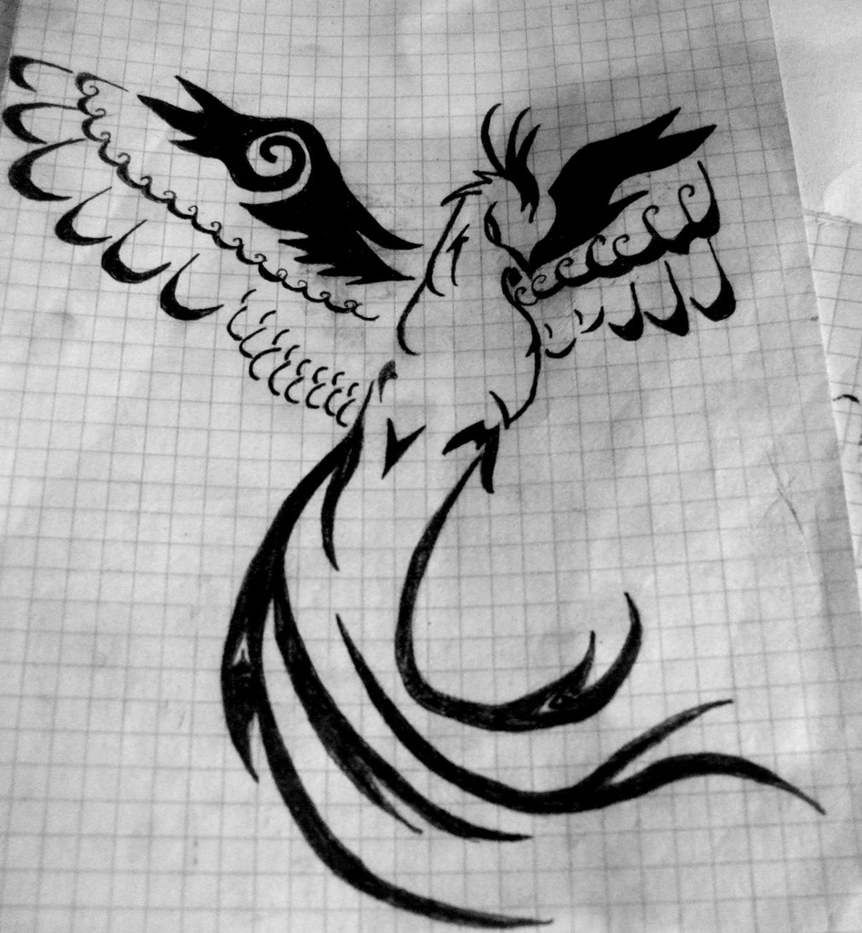 Feniks