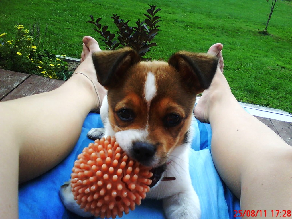 Rambo :D 