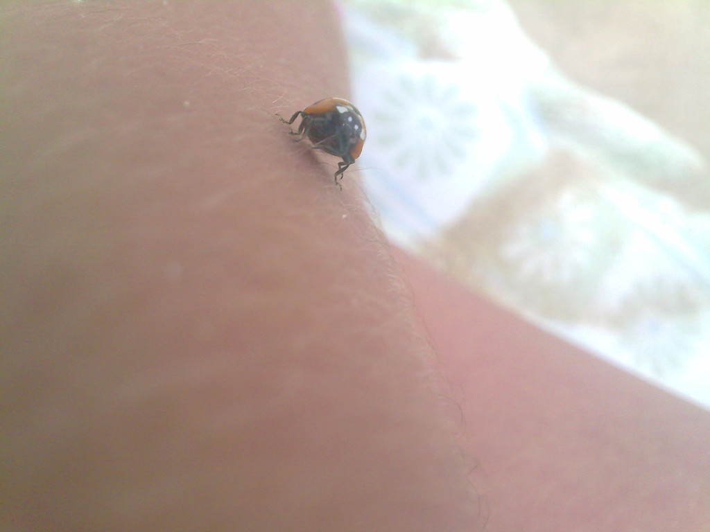 A friend of mine.
