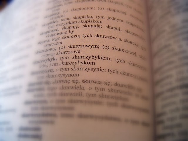Zaskakujcy sownik.