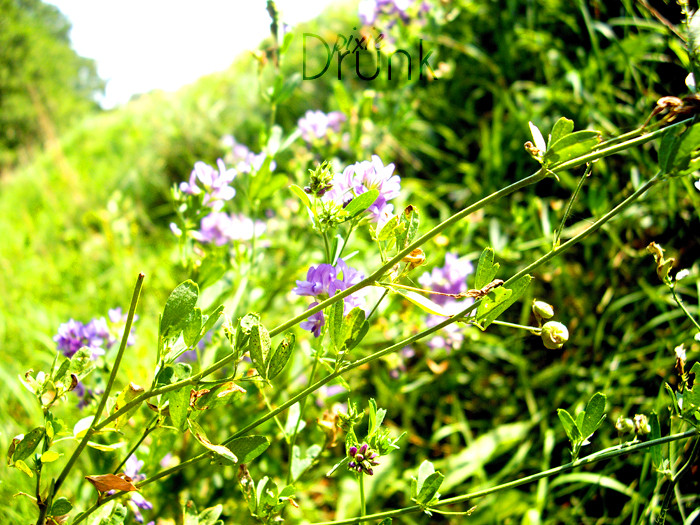 I feel summer...