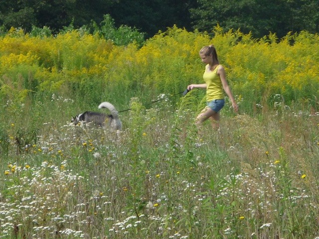 Wola Filipowska.