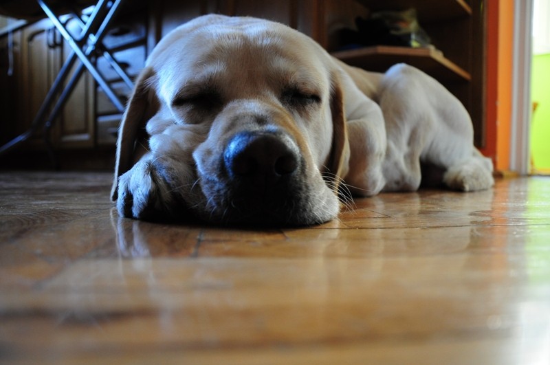 Pako :*