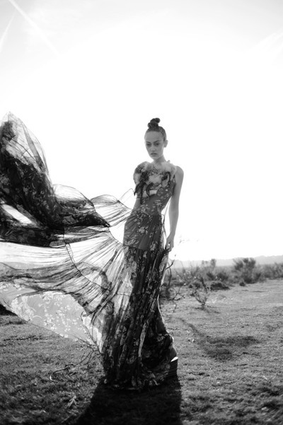 dreams...dreams...dreams...