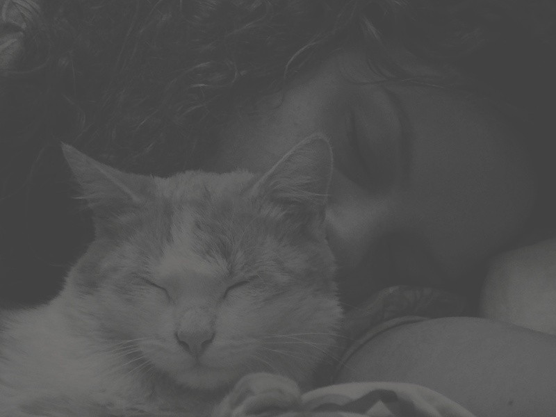 I need YOU, only YOU.