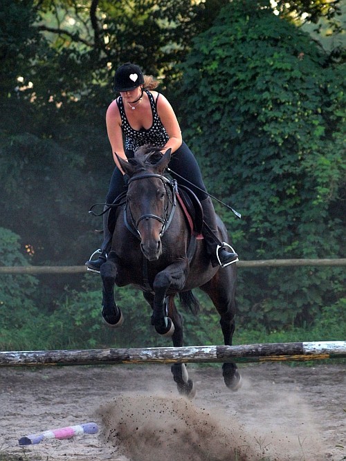 dupa oxer