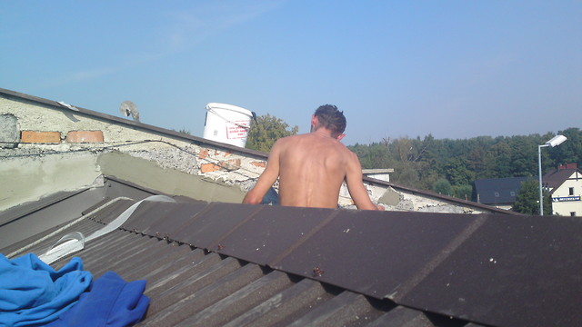 Janusz xd