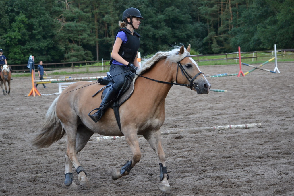 Galop! :D
