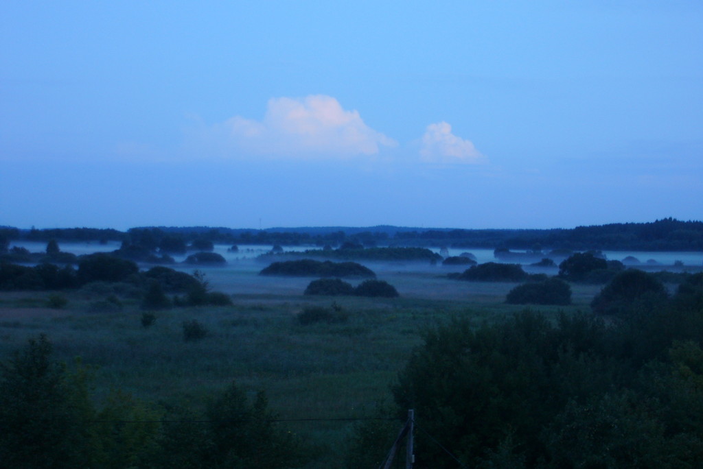 Rzeczywisto