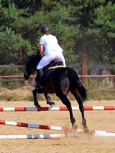 rozp stacj