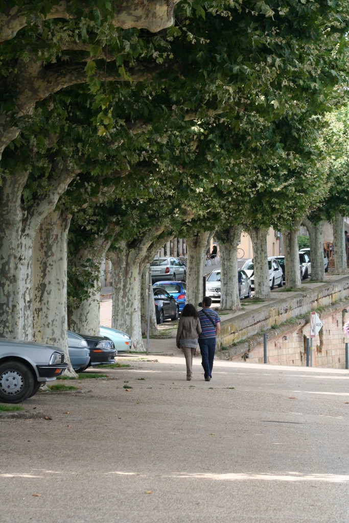 un petit village en France