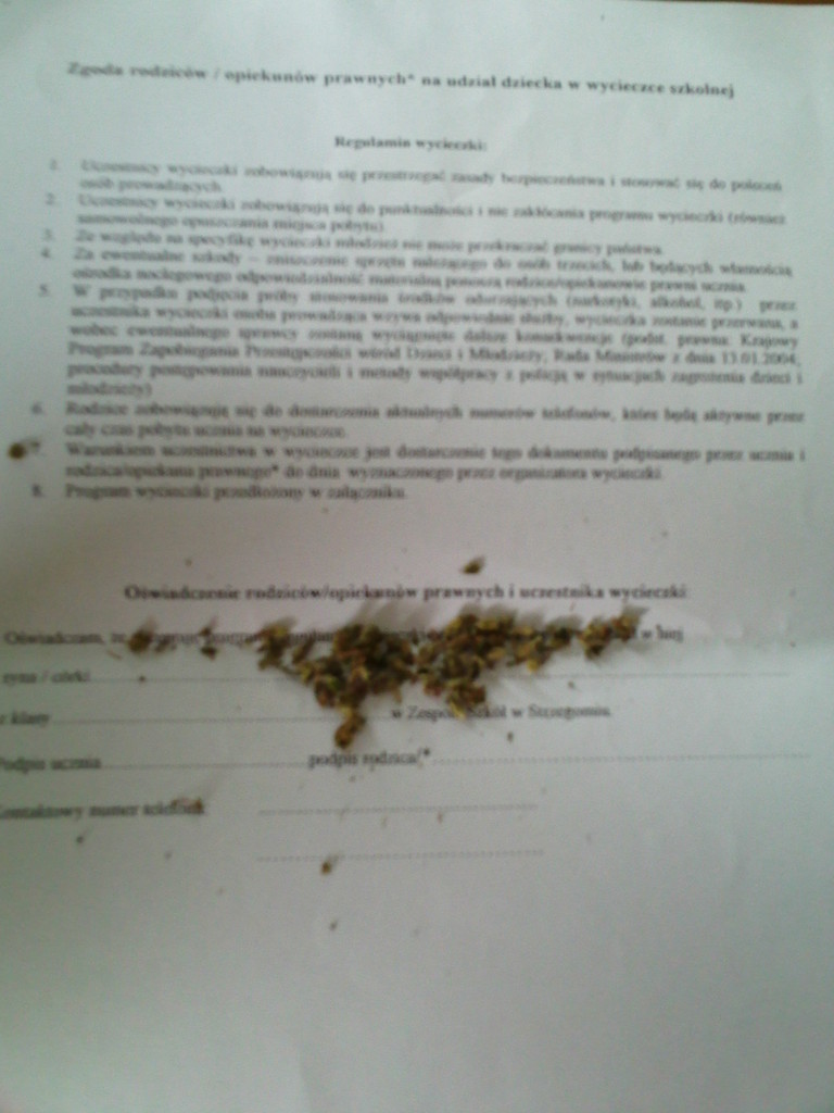 Regulamin wycieczki