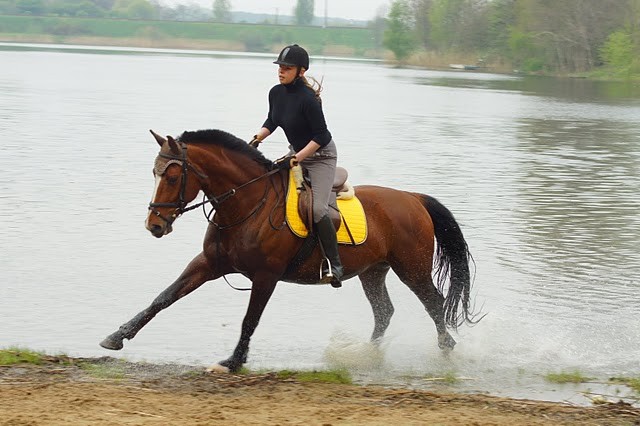 Lipno by Klaudusia