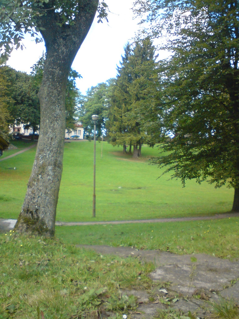Wierzchy.