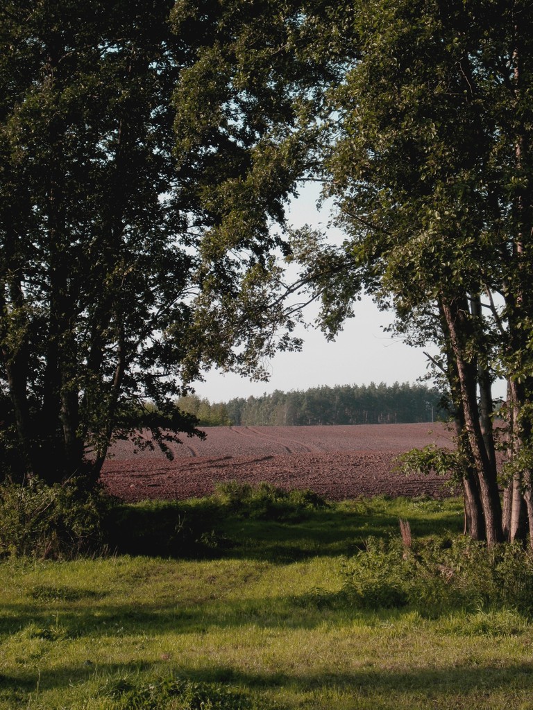 48