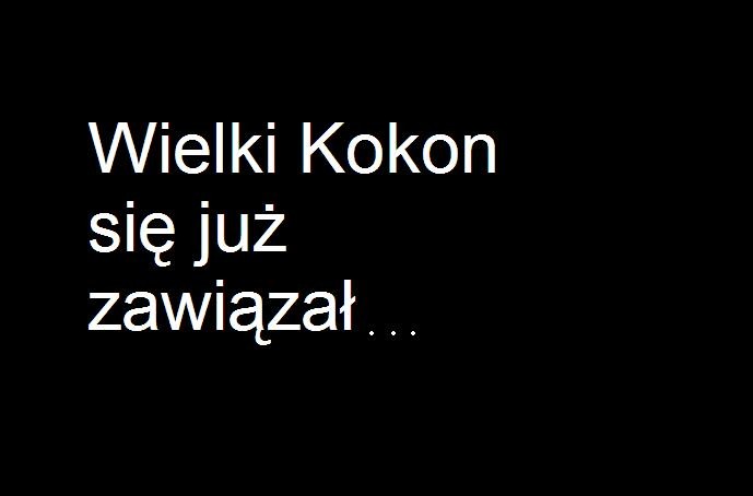 KOKON 2 
