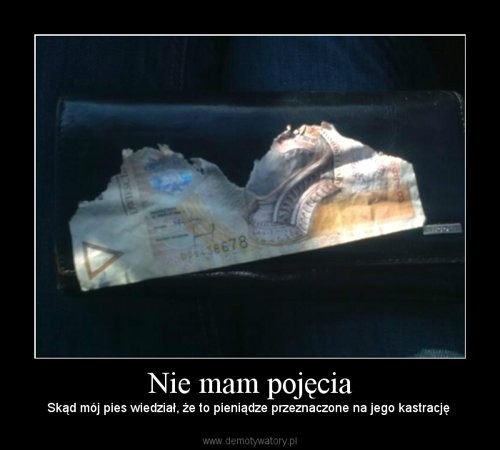 demotek ;D