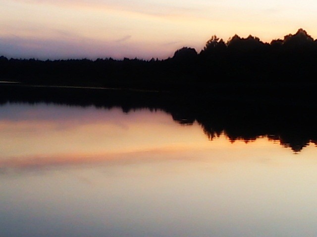 Wilczyn.