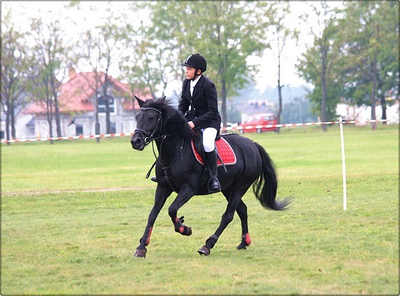 Basia