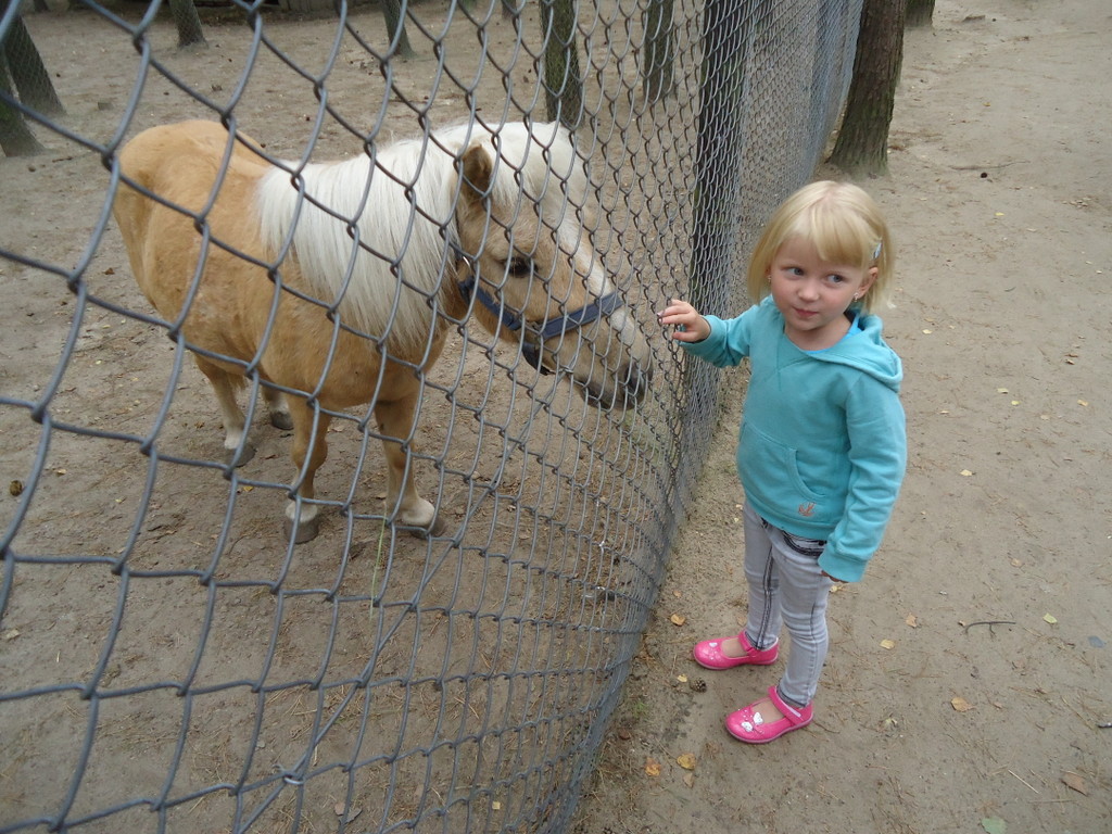 01.09.2011 Campol zoo
