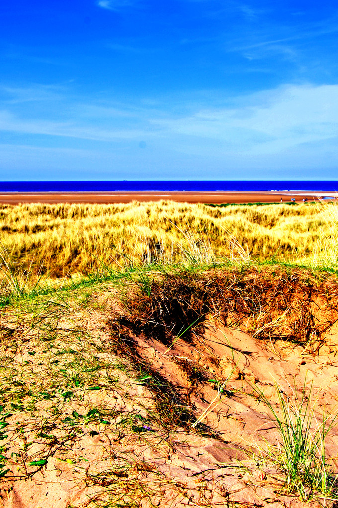 holy island