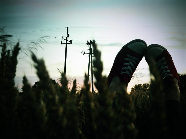 The end. 