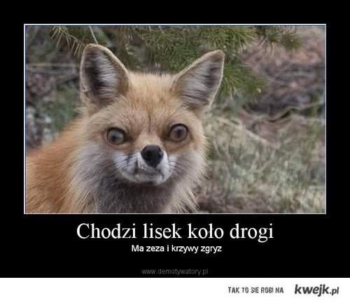 tak si czuj.