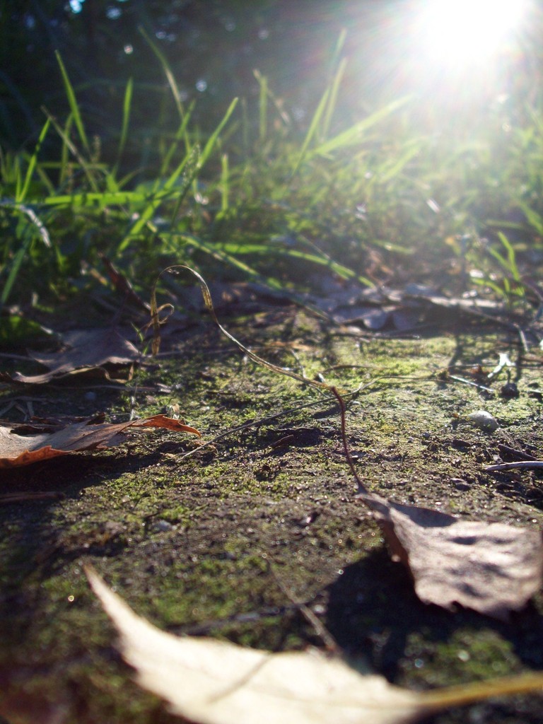 Sun.