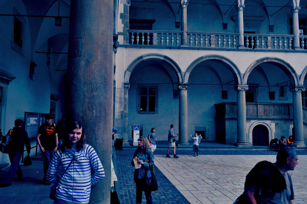 226. Wawel ; )
