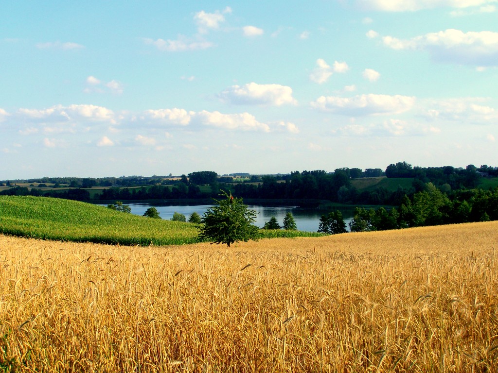Obory 2011