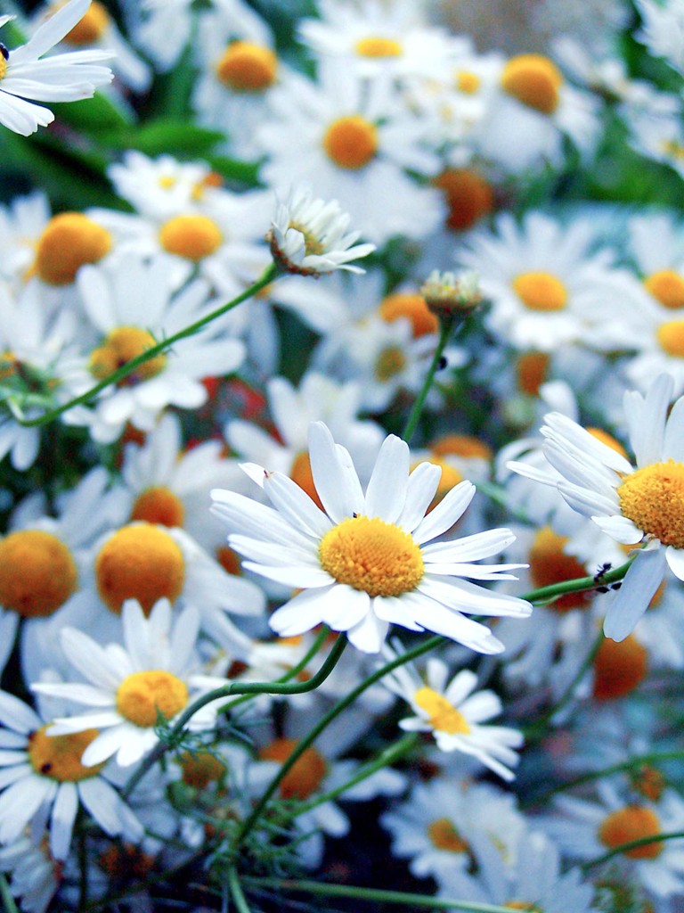 17 wrzenia 2011r.