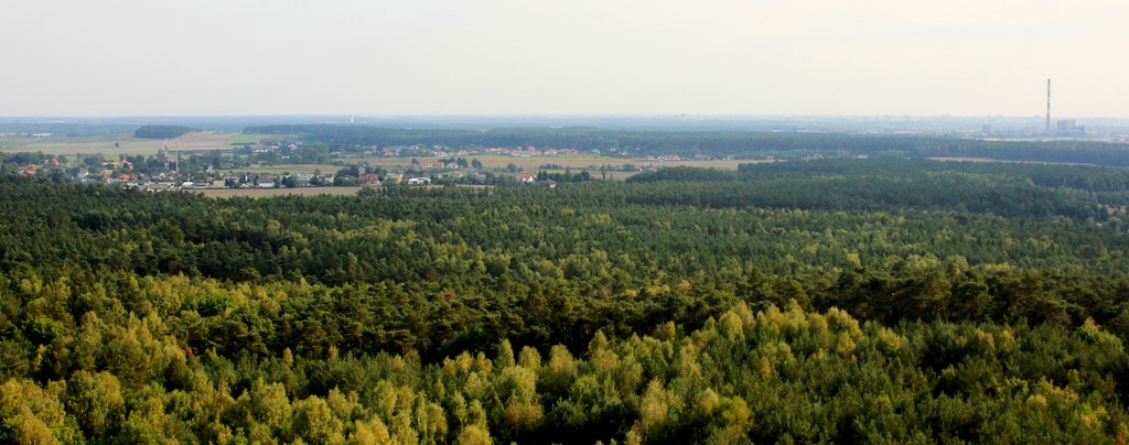 panorama
