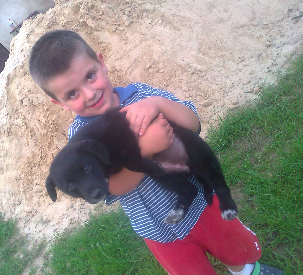 fafik i kondzio xdd